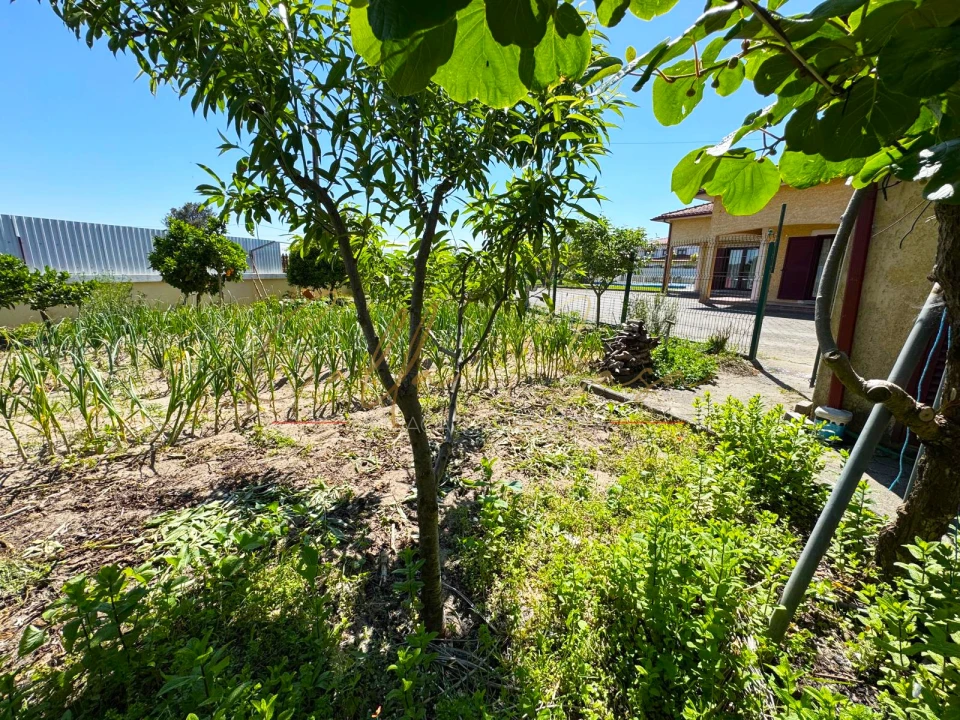 Moradia T4 para Venda em Santo Andre de Vagos Foto 21