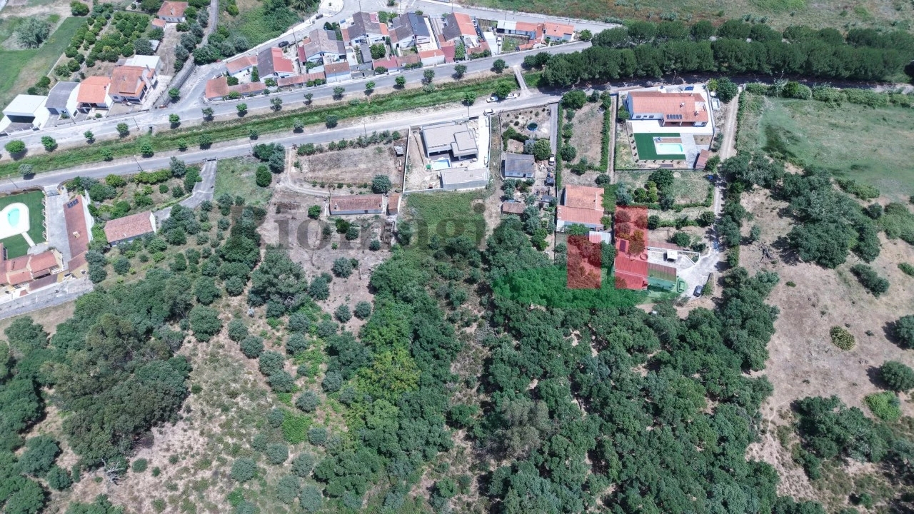 Terreno para Venda em Chamusca e Pinheiro Grande Foto 9