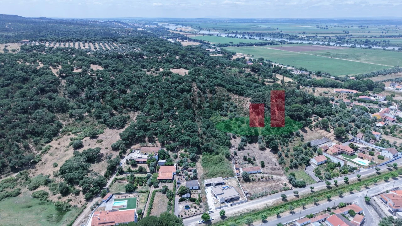 Terreno para Venda em Chamusca e Pinheiro Grande Foto 15