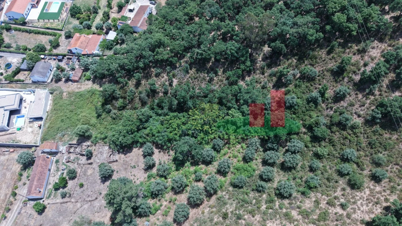 Terreno para Venda em Chamusca e Pinheiro Grande Foto 4