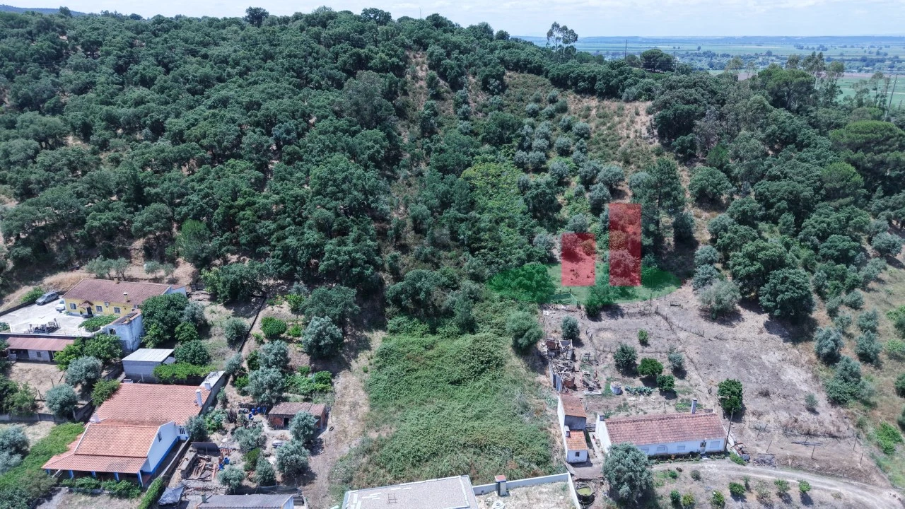 Terreno para Venda em Chamusca e Pinheiro Grande Foto 1