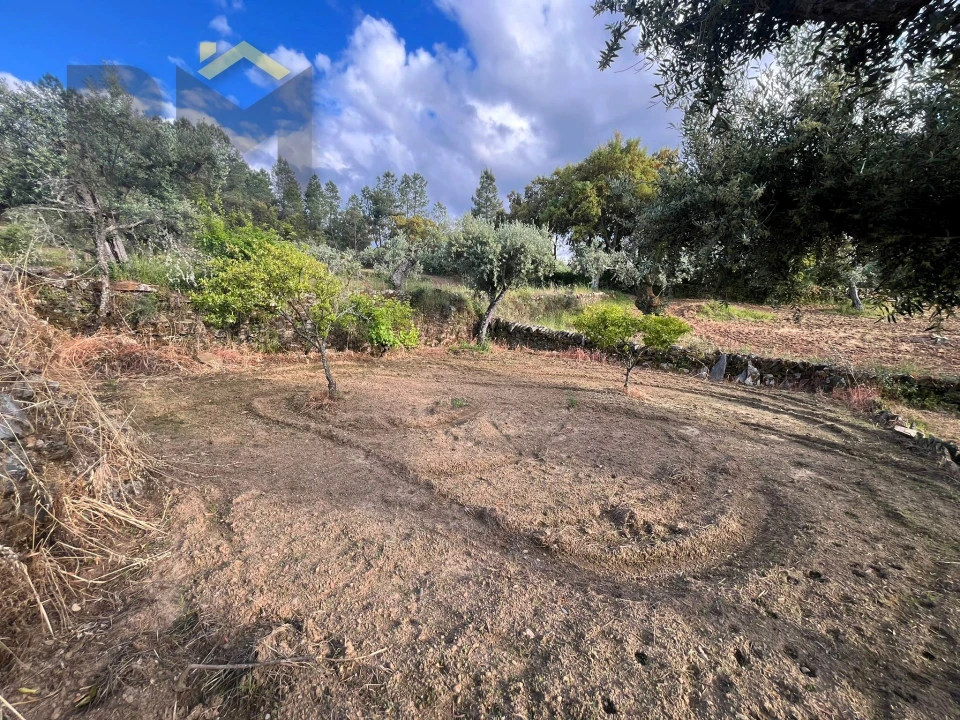 Terreno Agricola ou Rústico para Venda em Freixial e Juncal do Campo Foto 3