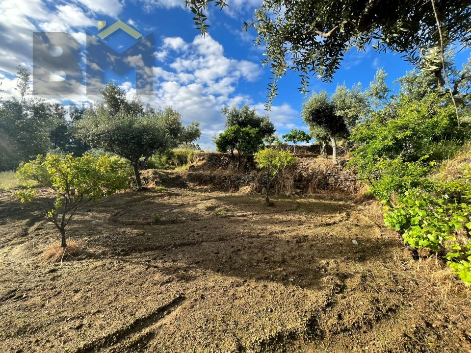 Terreno Agricola ou Rústico para Venda em Freixial e Juncal do Campo Foto 2