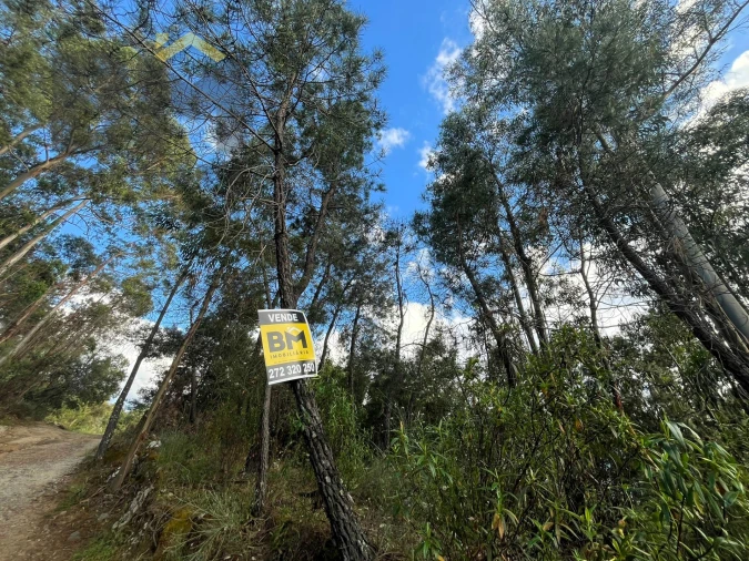 Terreno Agricola ou Rústico para Venda em Freixial e Juncal do Campo Foto 10