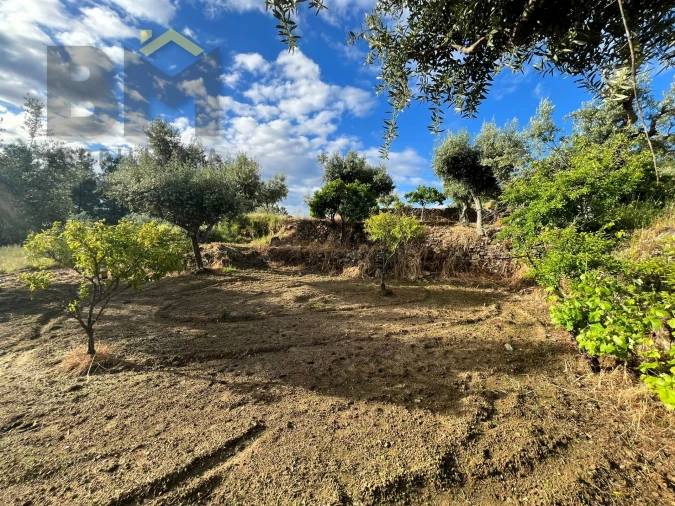 Terreno Agricola ou Rústico para Venda em Freixial e Juncal do Campo Foto 2