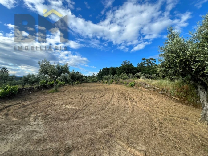 Terreno Agricola ou Rústico para Venda em Freixial e Juncal do Campo Foto 5