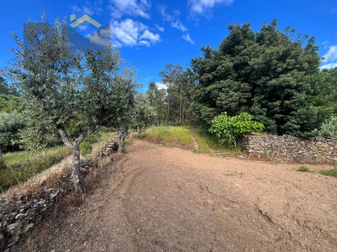 Terreno Agricola ou Rústico para Venda em Freixial e Juncal do Campo Foto 9
