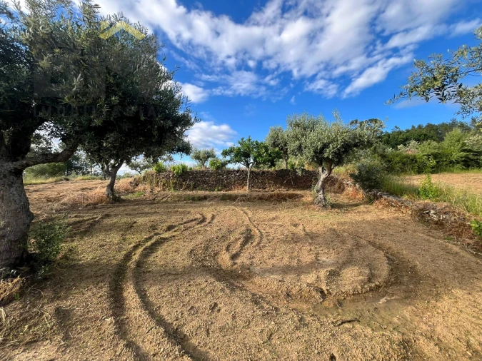 Terreno Agricola ou Rústico para Venda em Freixial e Juncal do Campo Foto 4