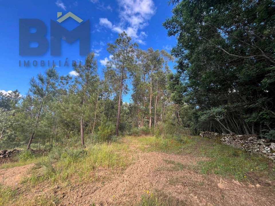 Terreno Agricola ou Rústico para Venda em Freixial e Juncal do Campo Foto 8