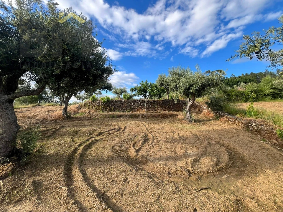 Terreno Agricola ou Rústico para Venda em Freixial e Juncal do Campo Foto 4