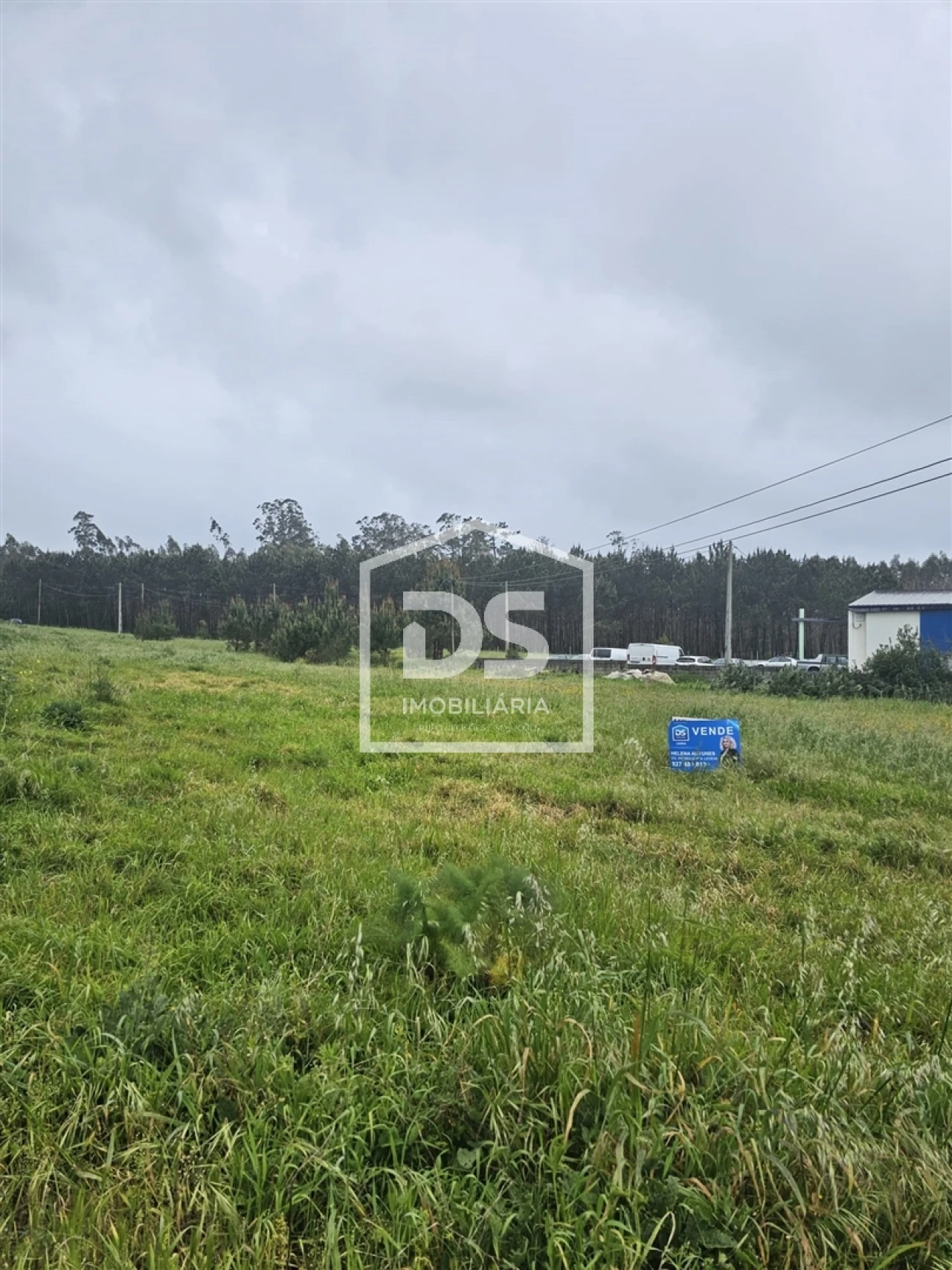 Terreno Agricola ou Rústico para Venda em Carriço Foto 1
