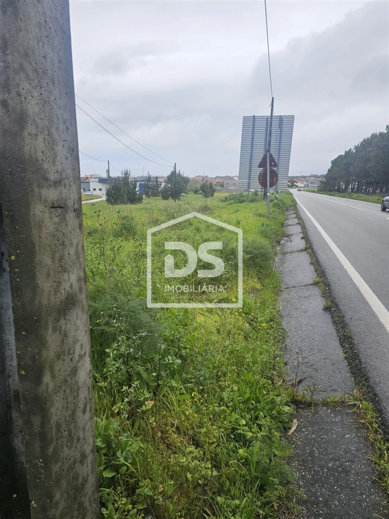 Terreno Agricola ou Rústico para Venda em Carriço Foto 4