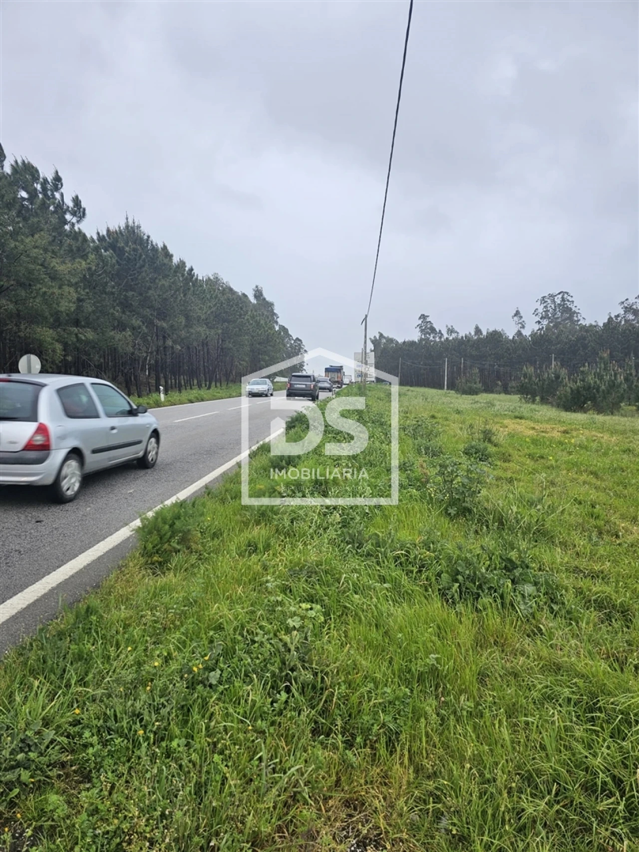 Terreno Agricola ou Rústico para Venda em Carriço Foto 9