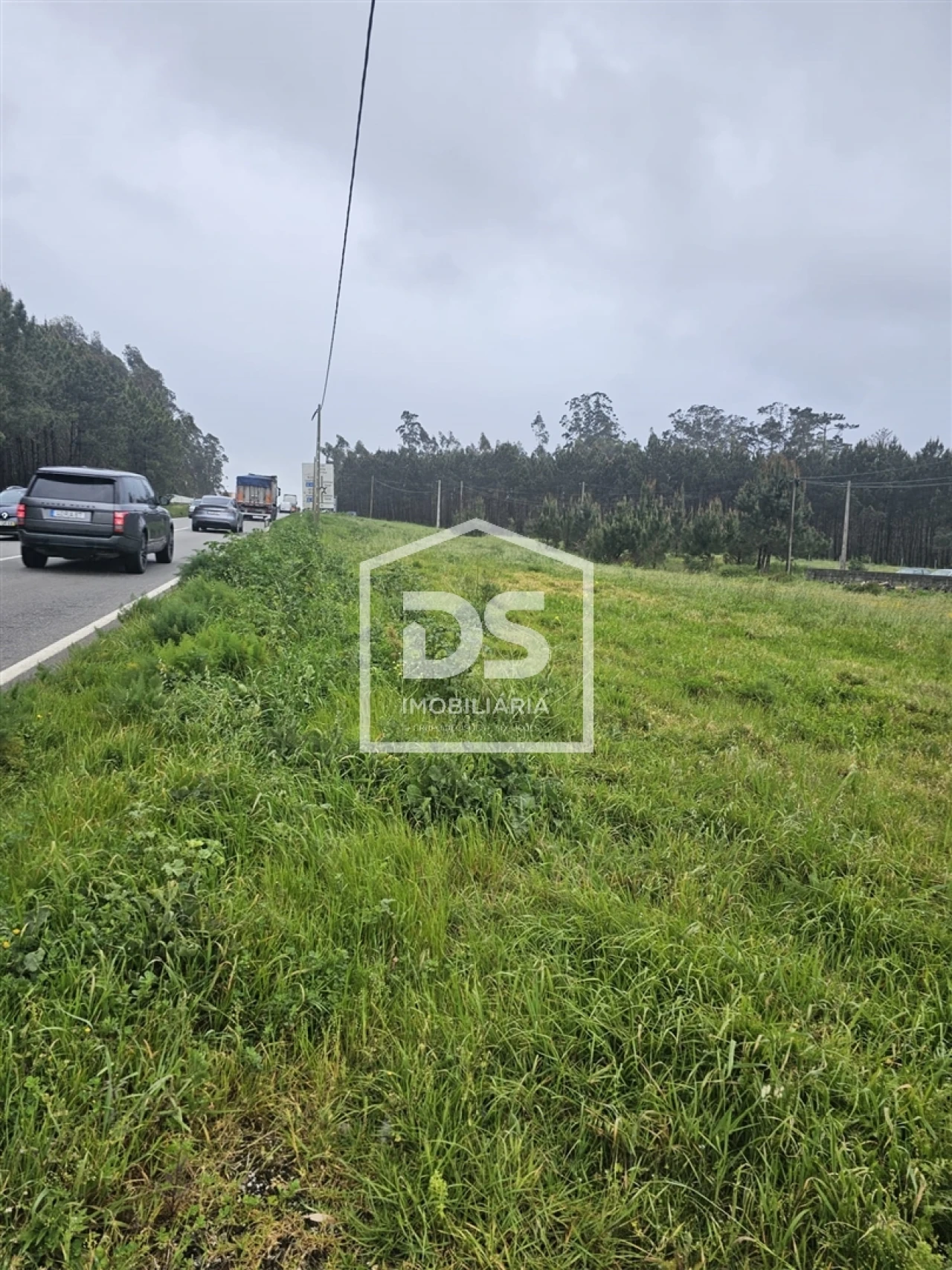 Terreno Agricola ou Rústico para Venda em Carriço Foto 8