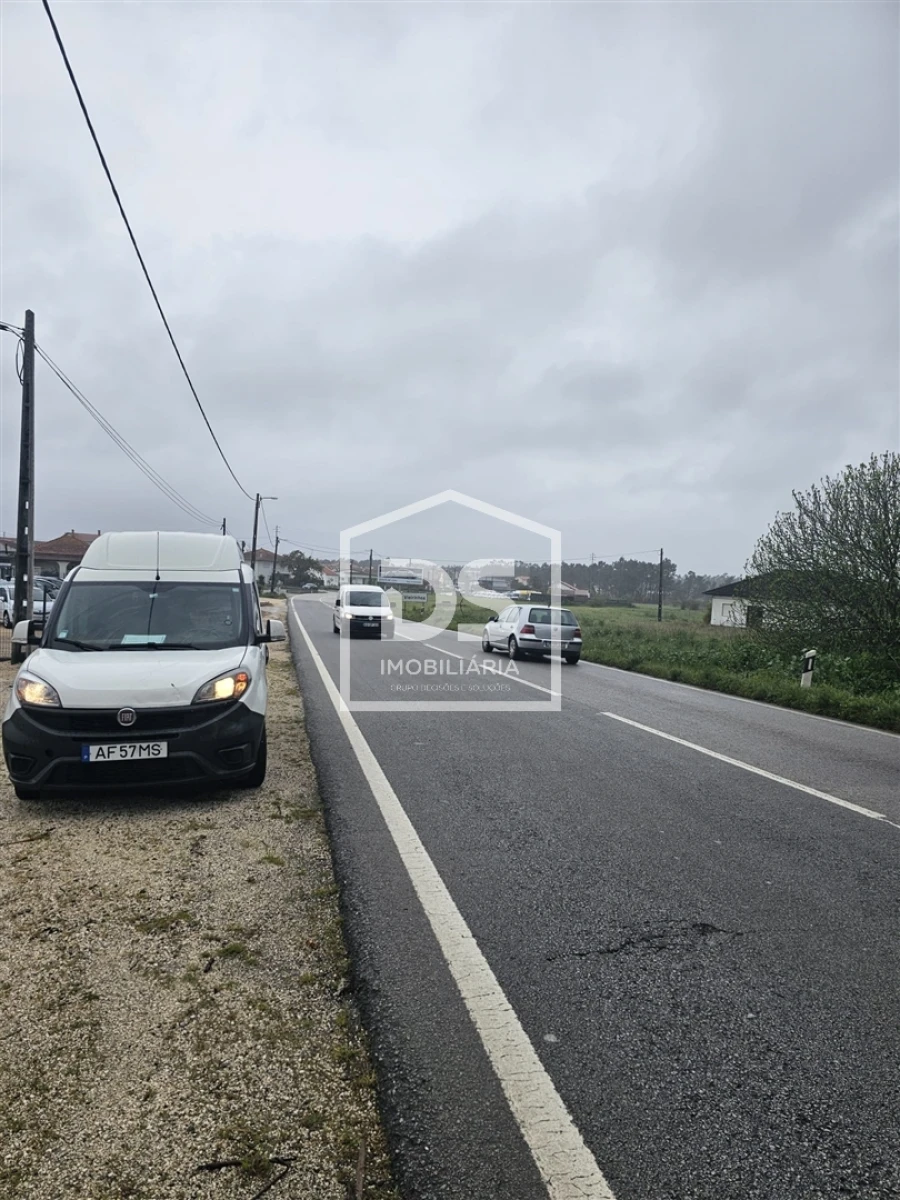 Terreno Agricola ou Rústico para Venda em Carriço Foto 10
