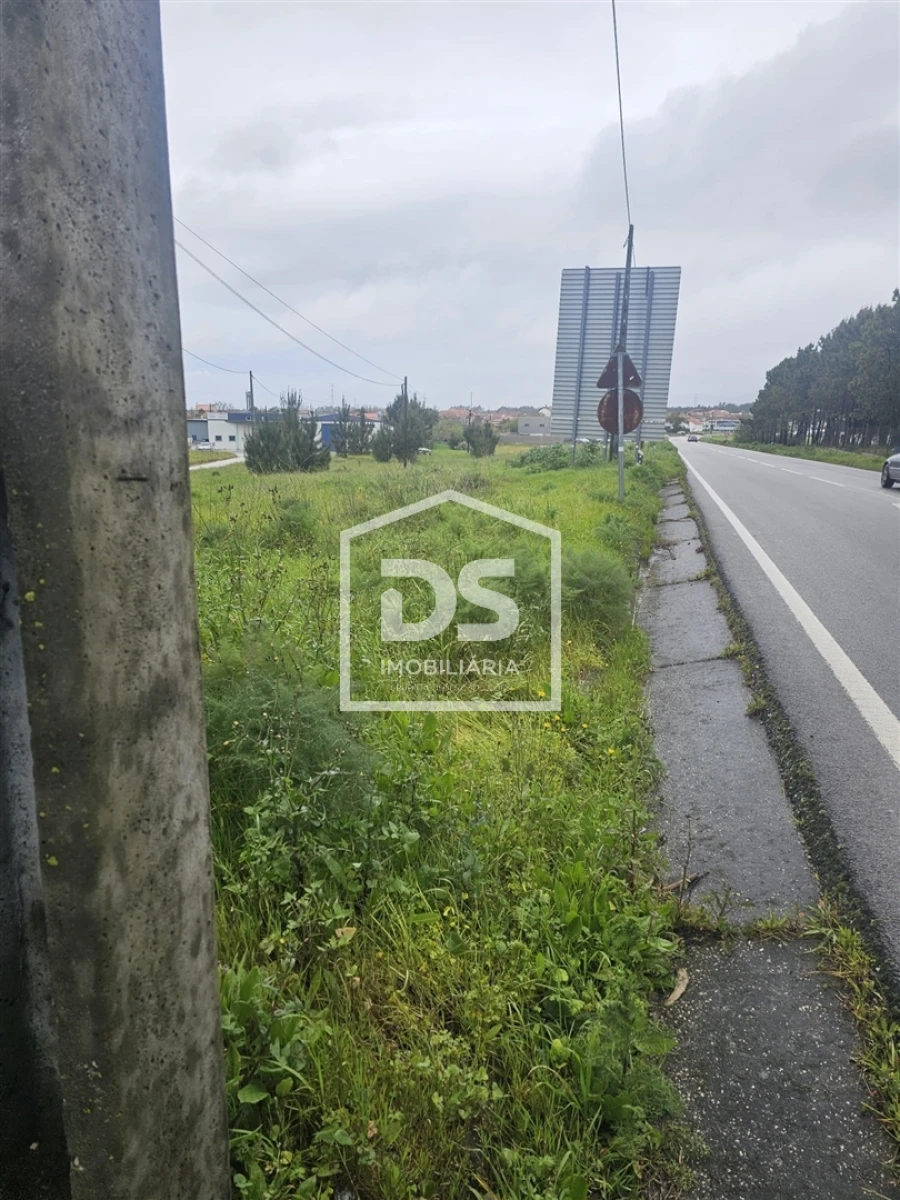 Terreno Agricola ou Rústico para Venda em Carriço Foto 4