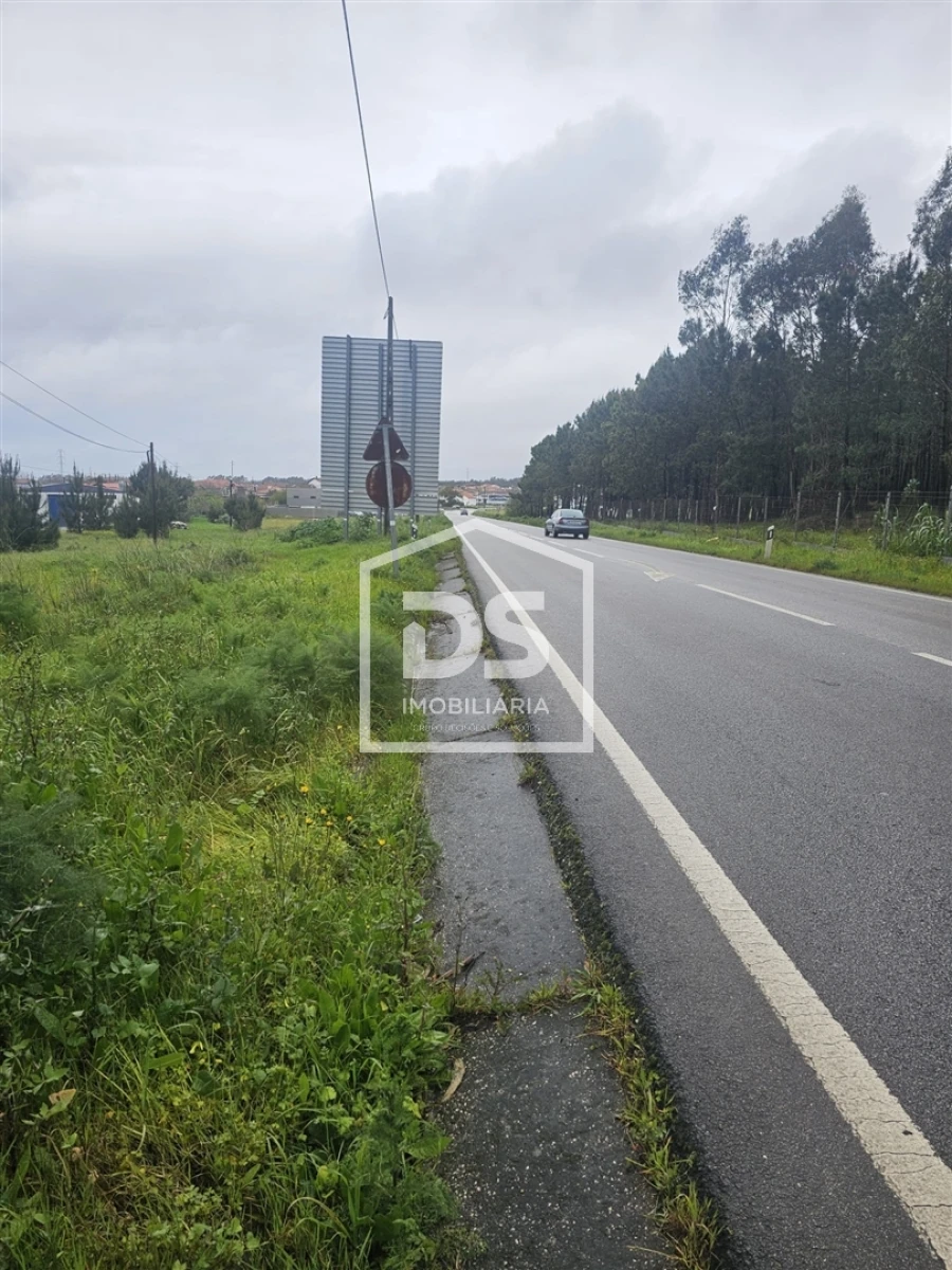 Terreno Agricola ou Rústico para Venda em Carriço Foto 3