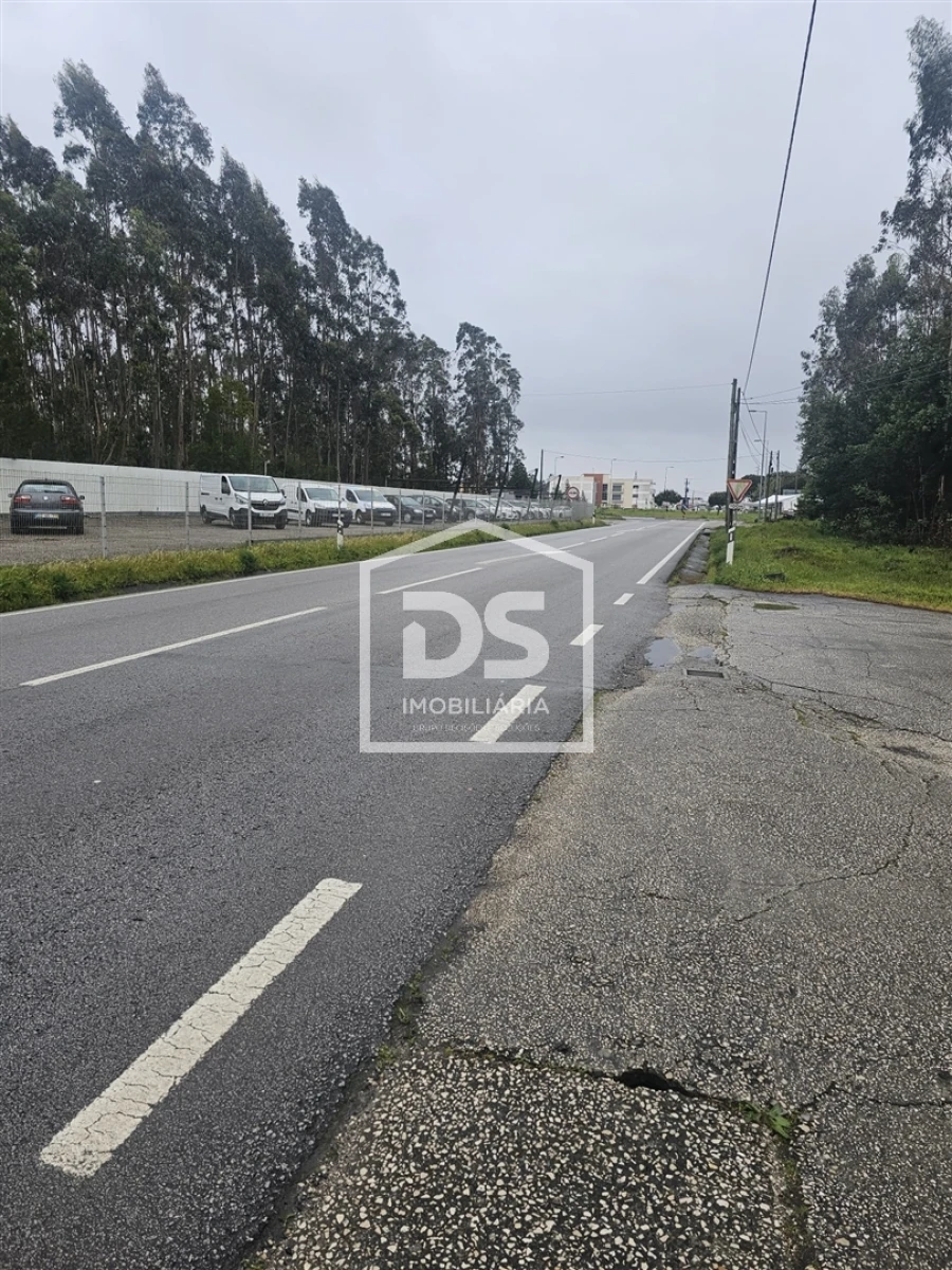 Terreno Agricola ou Rústico para Venda em Carriço Foto 7