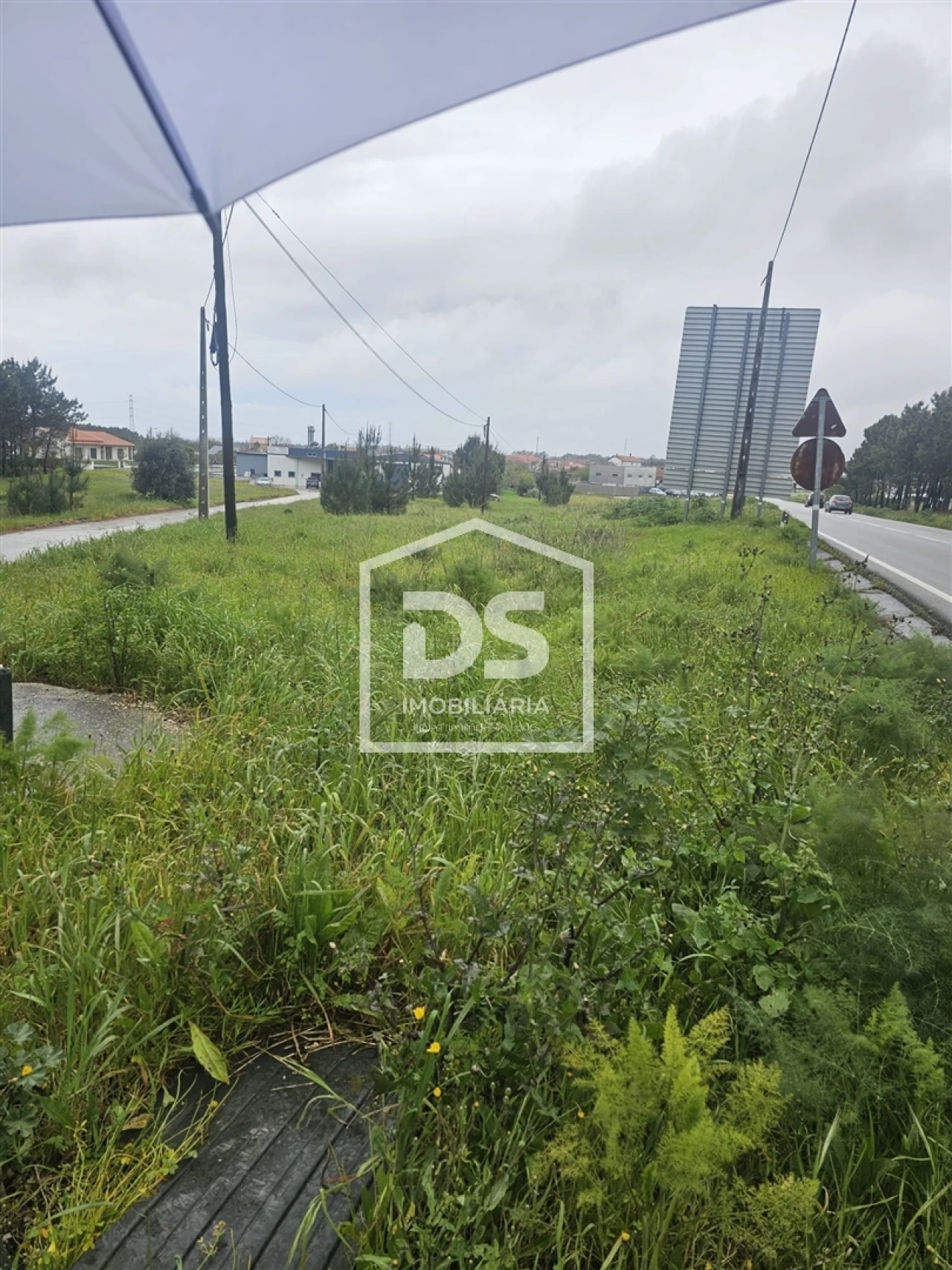 Terreno Agricola ou Rústico para Venda em Carriço Foto 12