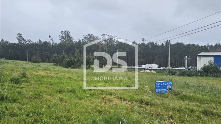 Terreno Agricola ou Rústico para Venda em Carriço