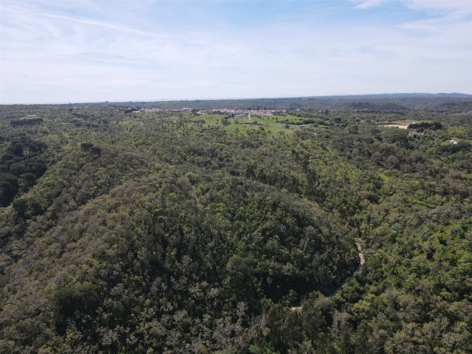 Terreno Agricola ou Rústico para Venda em São Francisco da Serra Foto 20