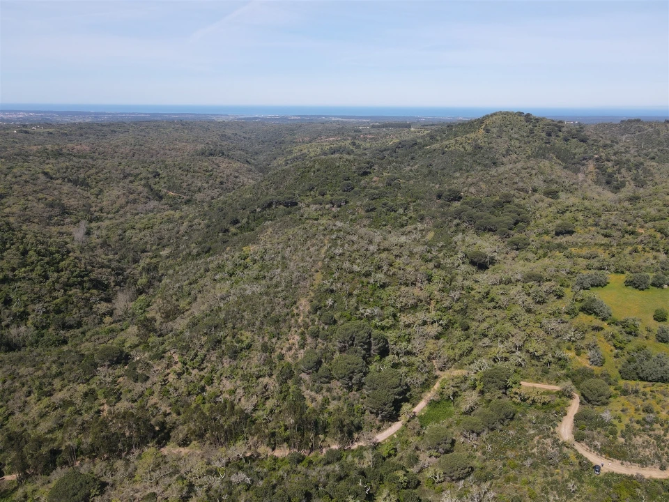 Terreno Agricola ou Rústico para Venda em São Francisco da Serra Foto 2