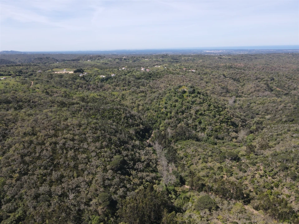 Terreno Agricola ou Rústico para Venda em São Francisco da Serra Foto 17