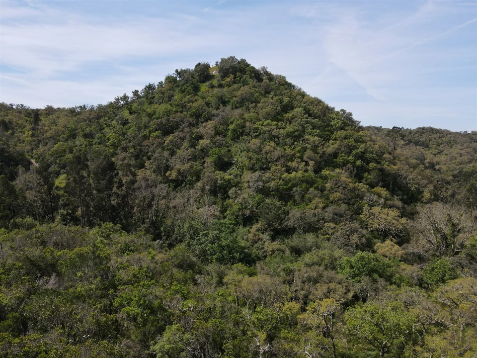 Terreno Agricola ou Rústico para Venda em São Francisco da Serra Foto 37