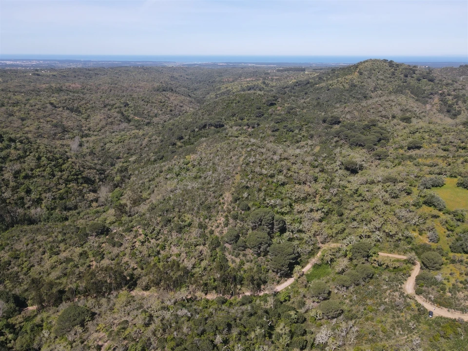 Terreno Agricola ou Rústico para Venda em São Francisco da Serra Foto 4