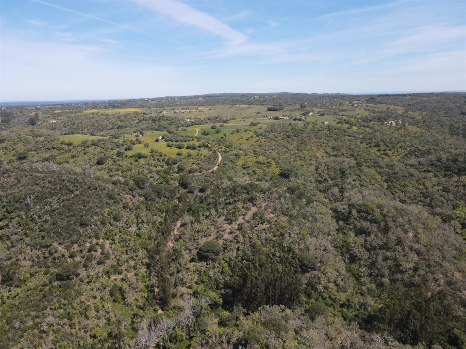 Terreno Agricola ou Rústico para Venda em São Francisco da Serra Foto 18