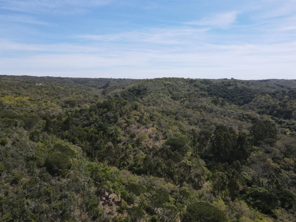 Terreno Agricola ou Rústico para Venda em São Francisco da Serra Foto 32