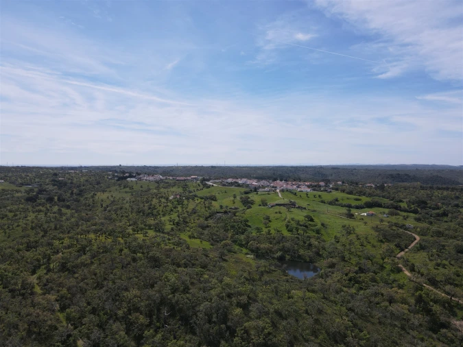 Terreno Agricola ou Rústico para Venda em São Francisco da Serra Foto 12