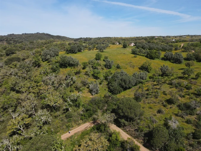 Terreno Agricola ou Rústico para Venda em São Francisco da Serra Foto 6