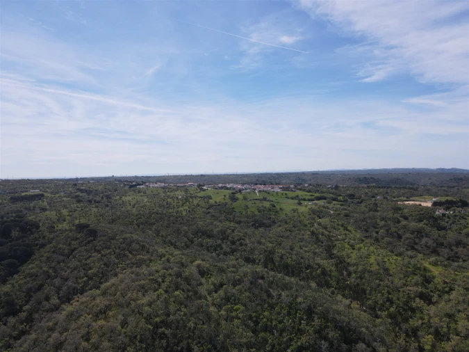 Terreno Agricola ou Rústico para Venda em São Francisco da Serra Foto 10