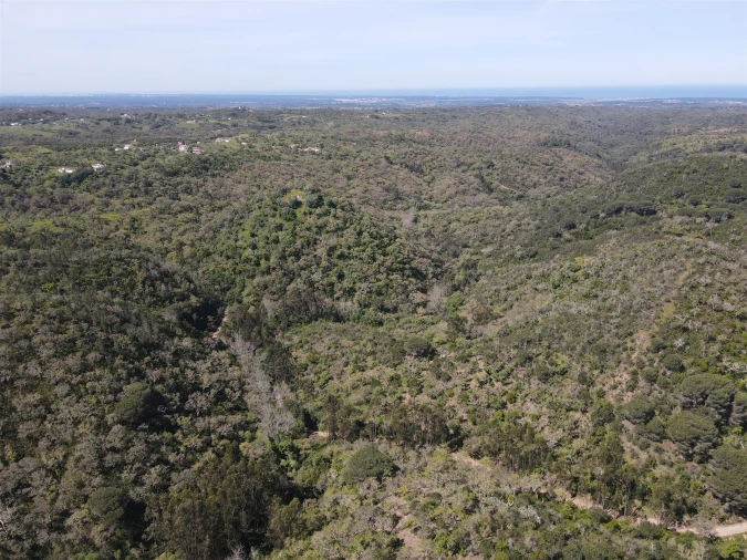 Terreno Agricola ou Rústico para Venda em São Francisco da Serra Foto 5
