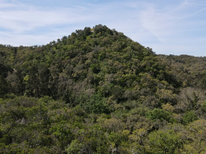 Terreno Agricola ou Rústico para Venda em São Francisco da Serra Foto 37