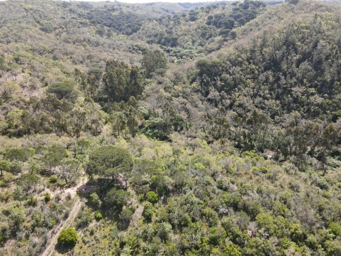 Terreno Agricola ou Rústico para Venda em São Francisco da Serra Foto 34