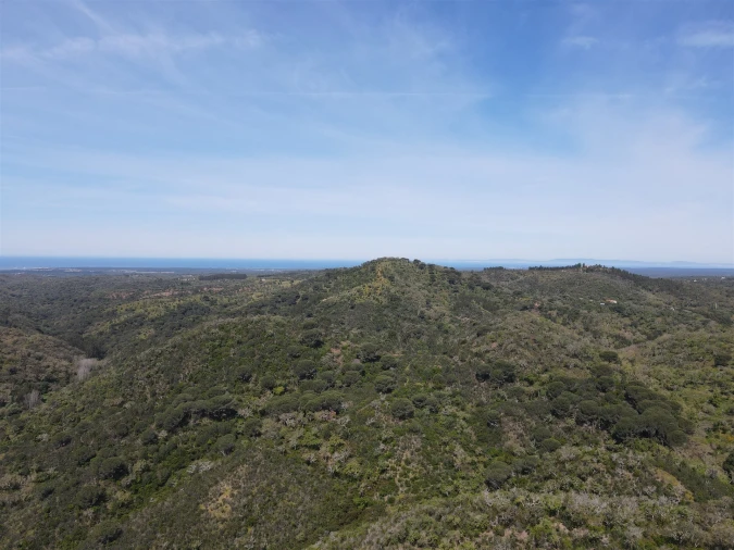 Terreno Agricola ou Rústico para Venda em São Francisco da Serra Foto 7