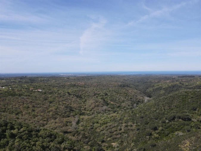 Terreno Agricola ou Rústico para Venda em São Francisco da Serra Foto 8