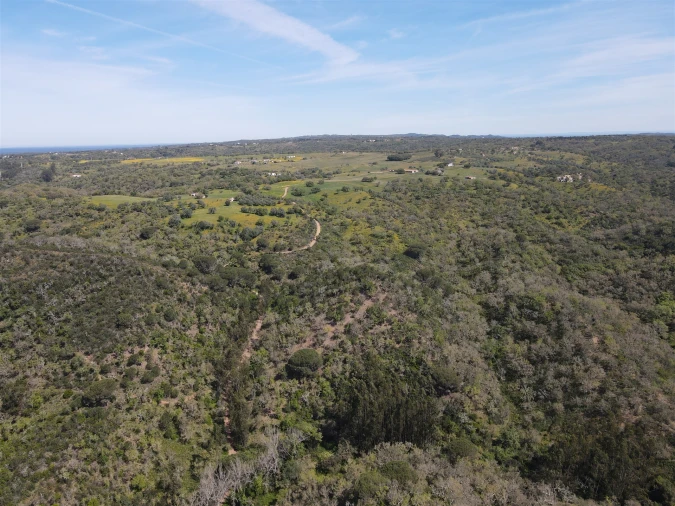 Terreno Agricola ou Rústico para Venda em São Francisco da Serra Foto 18