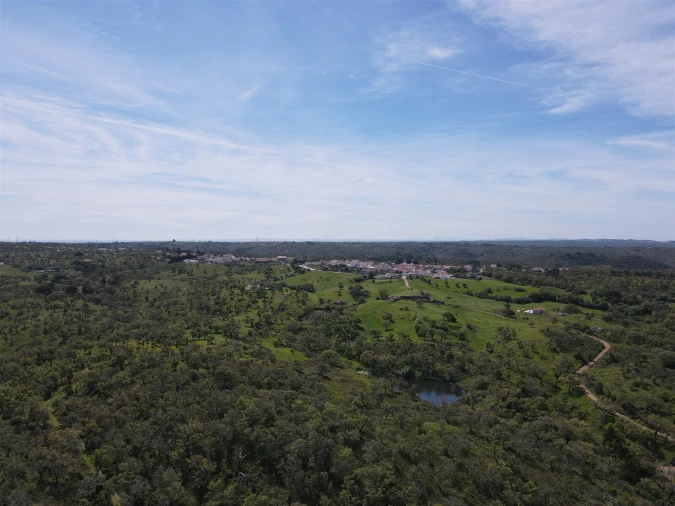 Terreno Agricola ou Rústico para Venda em São Francisco da Serra Foto 11