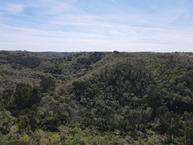 Terreno Agricola ou Rústico para Venda em São Francisco da Serra Foto 33