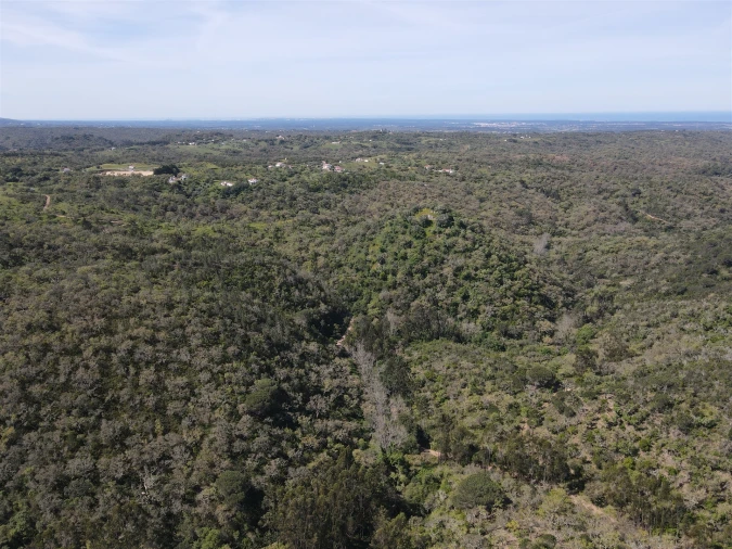 Terreno Agricola ou Rústico para Venda em São Francisco da Serra Foto 3