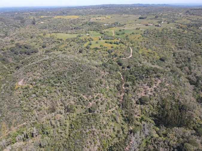 Terreno Agricola ou Rústico para Venda em São Francisco da Serra Foto 31