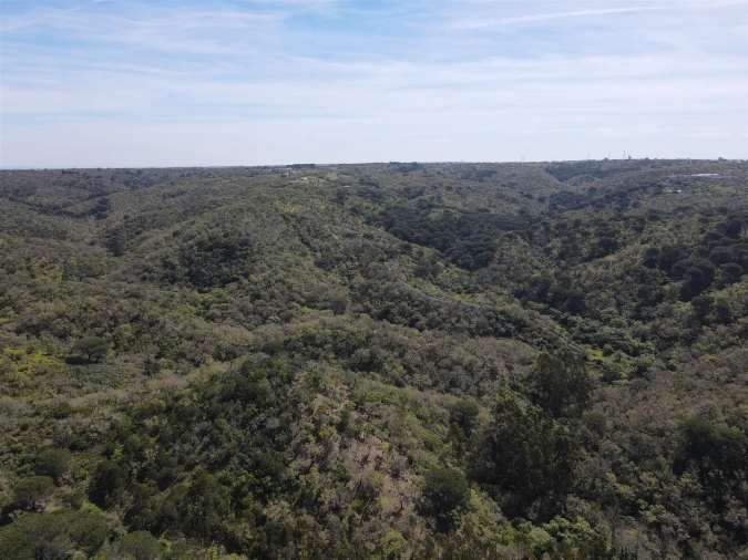 Terreno Agricola ou Rústico para Venda em São Francisco da Serra Foto 21