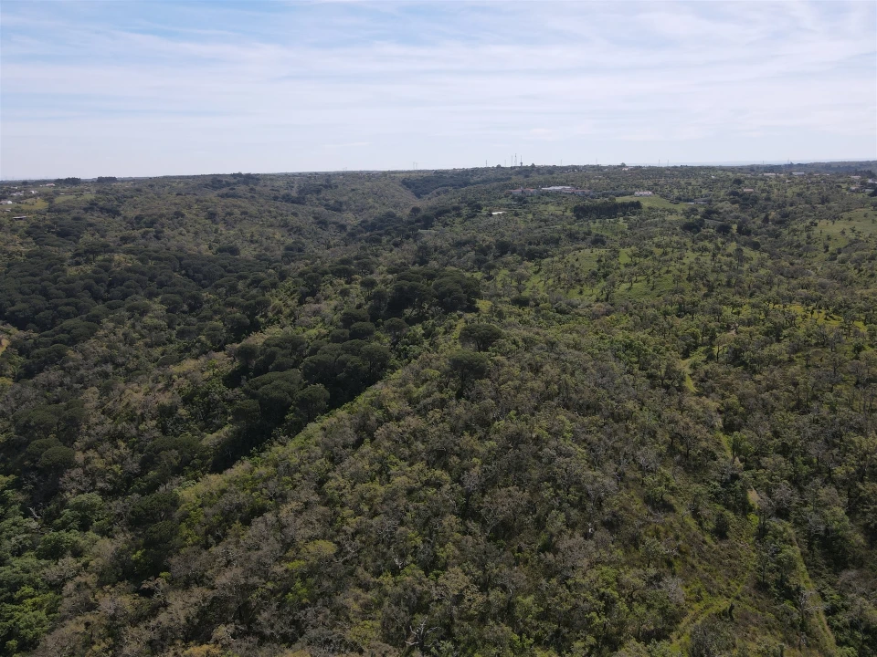 Terreno Agricola ou Rústico para Venda em São Francisco da Serra Foto 14