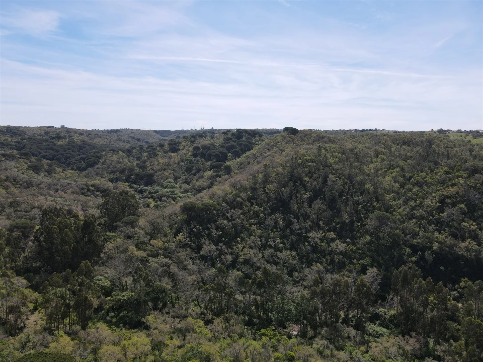 Terreno Agricola ou Rústico para Venda em São Francisco da Serra Foto 33