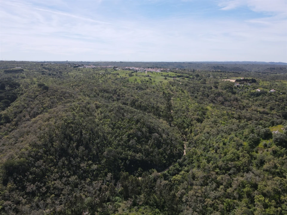Terreno Agricola ou Rústico para Venda em São Francisco da Serra Foto 23