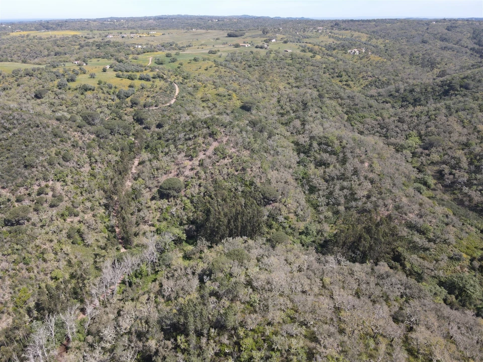 Terreno Agricola ou Rústico para Venda em São Francisco da Serra Foto 19