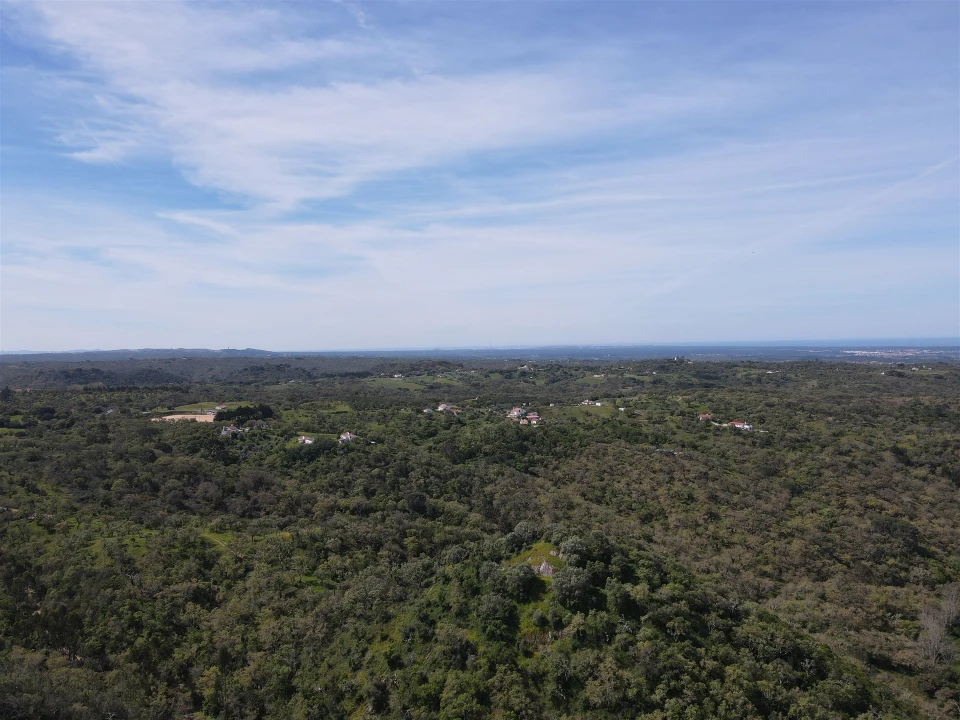 Terreno Agricola ou Rústico para Venda em São Francisco da Serra Foto 9